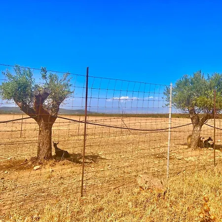 Holiday home Sisini - Key To *