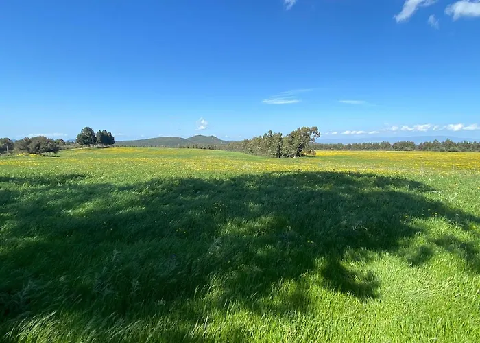 Sisini - Key To Vakantiehuis Capoterra